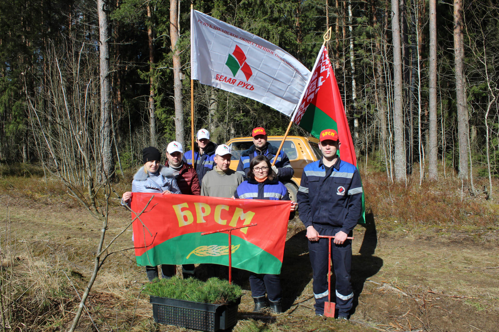 Акция неделя леса