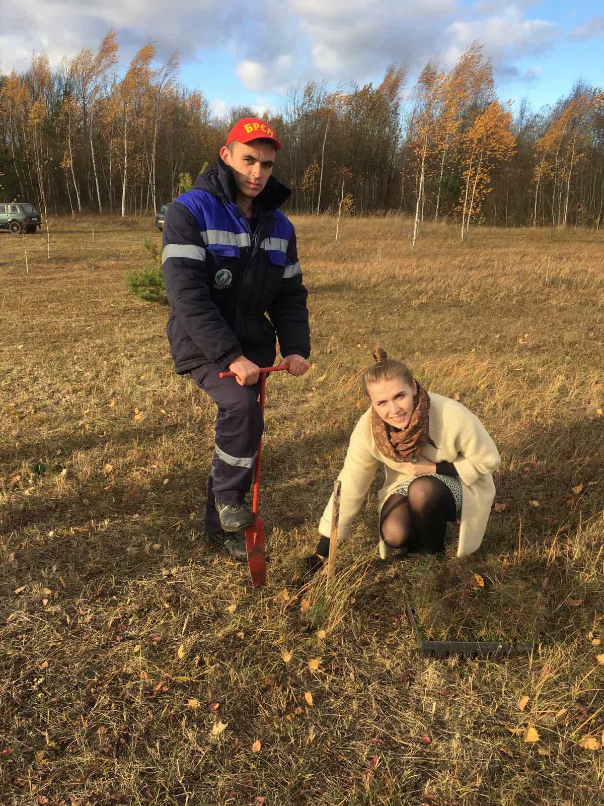 Парк семейных деревьев