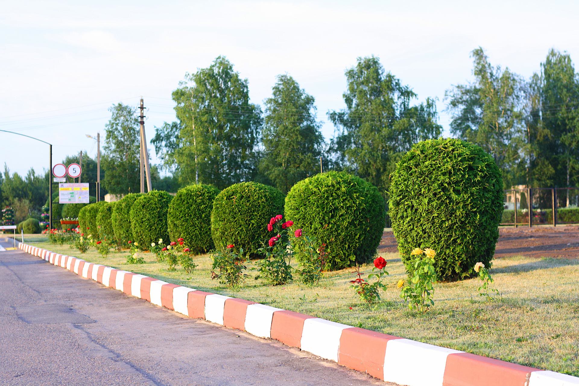 Лучшие показатели в республиканском смотре-конкурсе