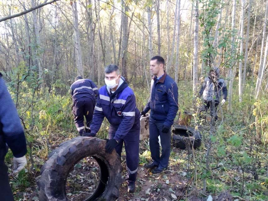 Республиканская добровольная акция "Чистый лес"