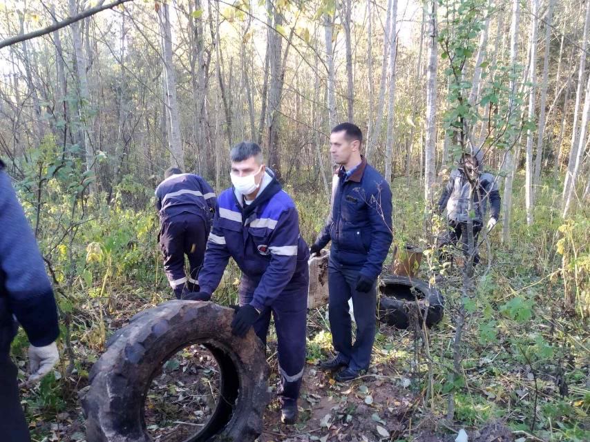 Республиканская добровольная акция "Чистый лес"