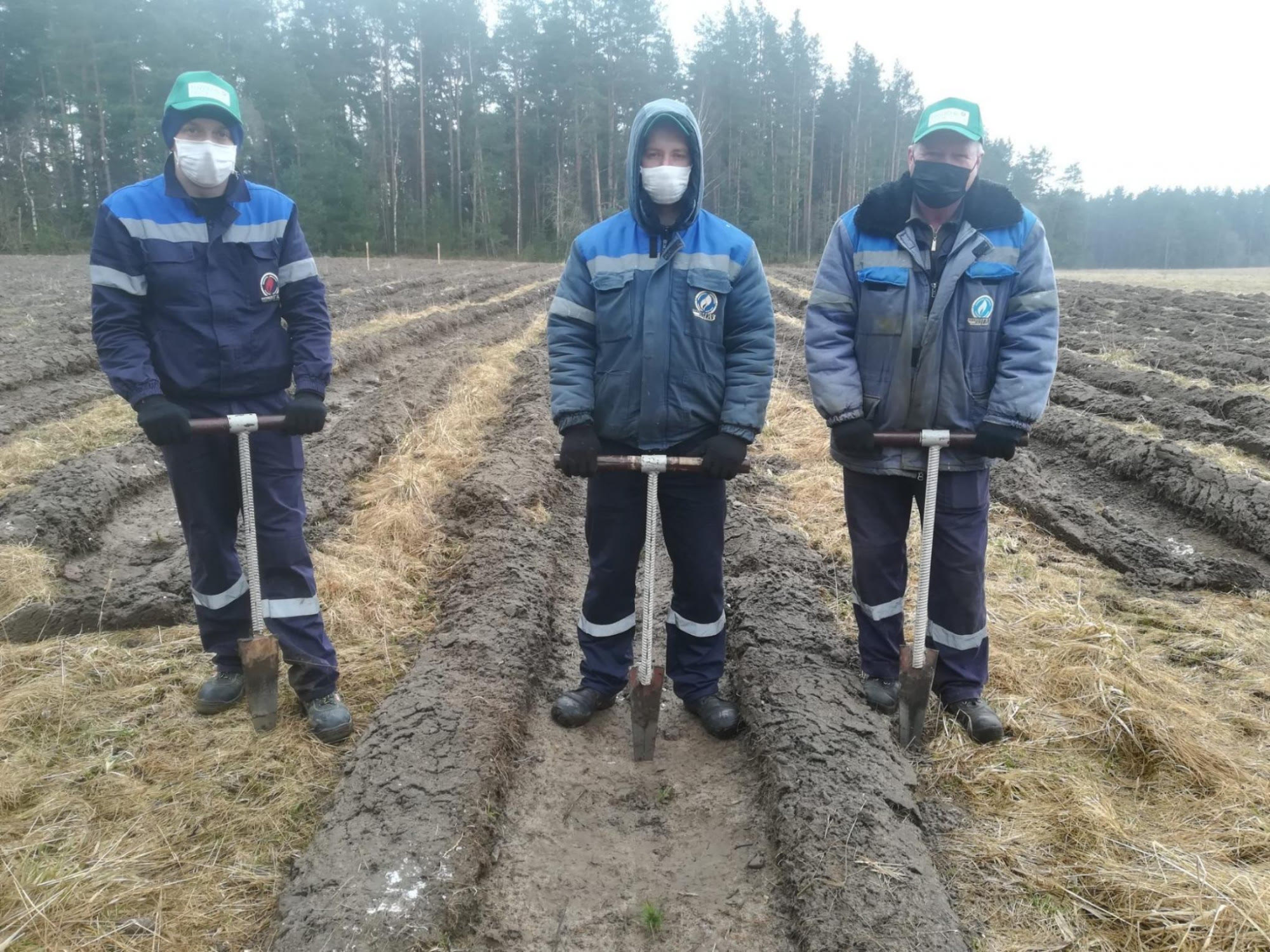 Акция неделя леса