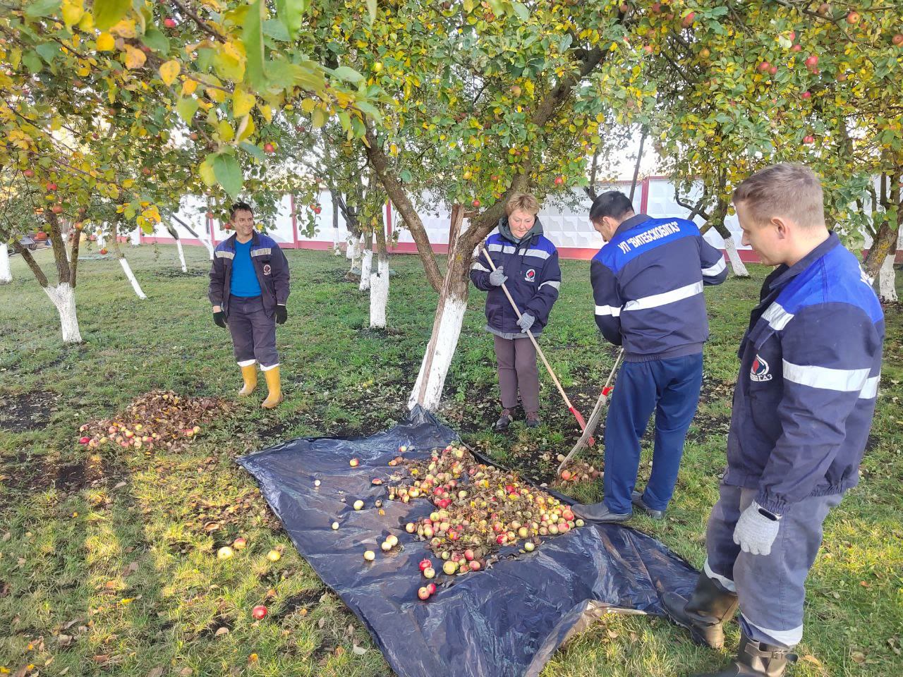 Городской субботник