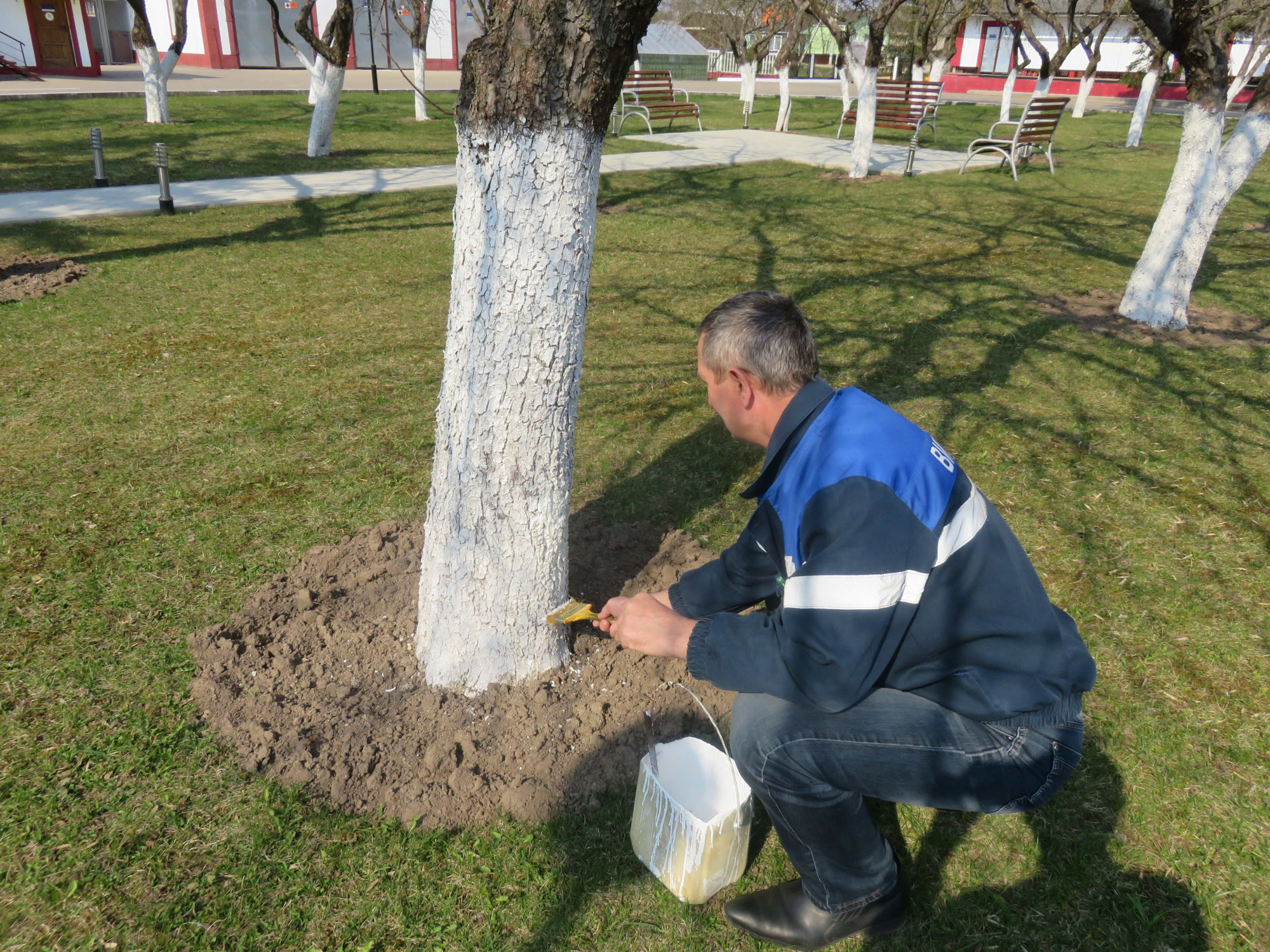 В субботу есть заботы!