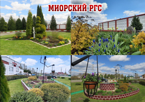 смотр