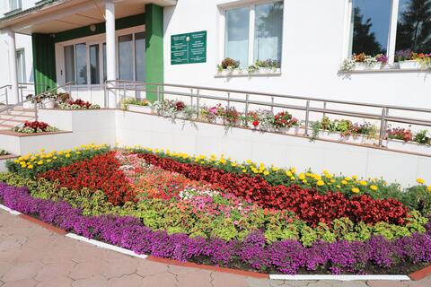 Феерия волшебных и ярких красок снова поразила своей красотой