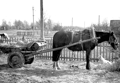 Так осуществлялась доставка газовых баллонов в 1960-е годы