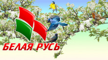 Подарим дом пернатым!